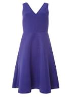 Dorothy Perkins Purple Scuba Stripe Fit And Flare Dress