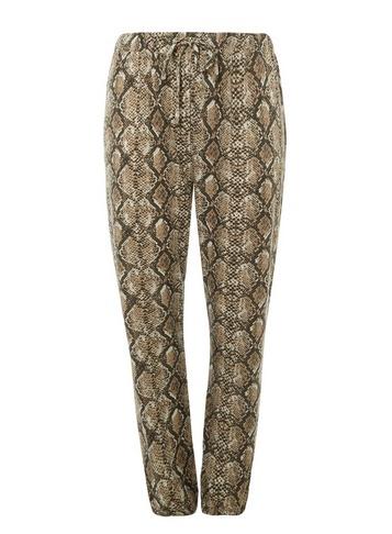 Dorothy Perkins *dp Curve Multi Coloured Snake Print Brushed Joggers