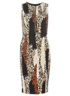 Dorothy Perkins Animal Zip Back Scuba Dress