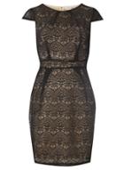 Dorothy Perkins *voulez Vous Nude Lace Tie Pleat Dress