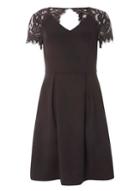 Dorothy Perkins Petite Black Lace Scuba Fit And Flare Dress