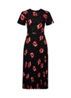 Dorothy Perkins Black And Red Poppy Print Midi Skater Dress