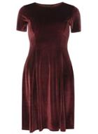 Dorothy Perkins Wine Velvet Fit And Flare Dress