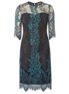 Dorothy Perkins *tall Teal Lace Bodycon Dress