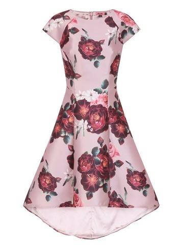 *chi Chi London Pink Floral Print Dip Hem Skater Dress