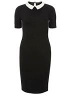Dorothy Perkins Black Collar Bodycon Dress
