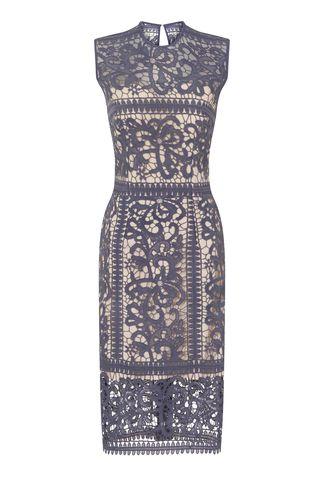 Dorothy Perkins *little Mistress Lavender Lace Bodycon Dress