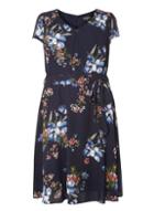 Dorothy Perkins *billie & Blossom Curve Navy Floral Dress
