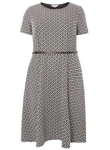 Dorothy Perkins *billie & Blossom Curve Monochrome Fit And Flare Dress