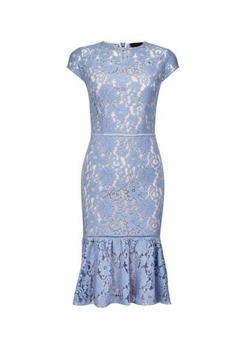 *luxe Blue Contrast Lace Shift Dress