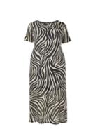 Dorothy Perkins *dp Curve Zebra Print Short Sleeve Dress