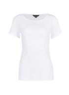 Dorothy Perkins White Plain Print Pique T-shirt