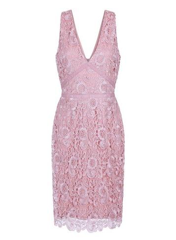 *paper Dolls Blush Lace Bodycon Dress