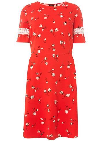 Dorothy Perkins *dp Curve Red Floral Print Fit And Flare Dress