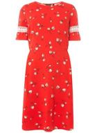 Dorothy Perkins *dp Curve Red Floral Print Fit And Flare Dress
