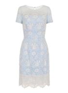 Dorothy Perkins *chi Chi London Embroidered Bodycon Dress
