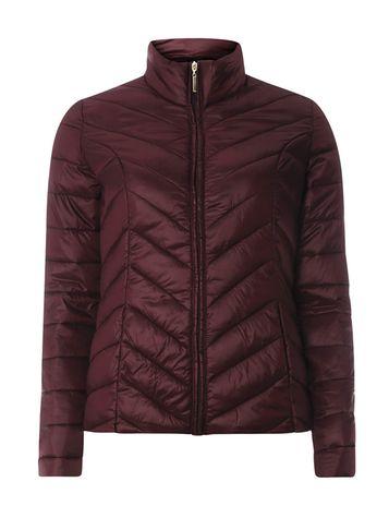 Dorothy Perkins Burgundy Chevron Pack-a-jacket