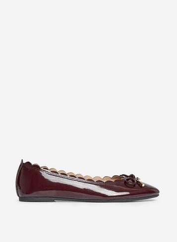 Dorothy Perkins Burgundy Pia Pumps
