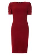 Dorothy Perkins Burgundy Plain Tuck Sleeve Bodycon Dress