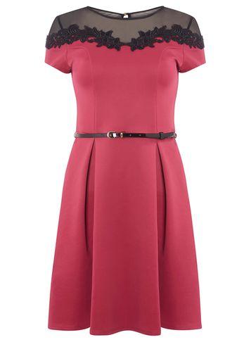 Dorothy Perkins Fuschia Floral Lace Trim Fit And Flare Dress