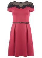 Dorothy Perkins Fuschia Floral Lace Trim Fit And Flare Dress
