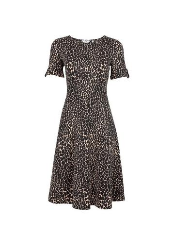 Dorothy Perkins *tall Multi Coloured Giraffe Print T-shirt Dress