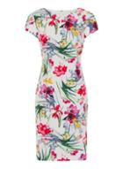 Dorothy Perkins *paper Dolls Floral Print Pencil Dress