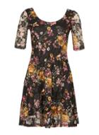 Dorothy Perkins *izabel London Multi Black Lace Skater Dress