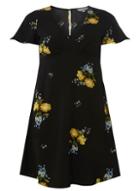 Dorothy Perkins Petite Black Floral Print Tea Fit And Flare Dress