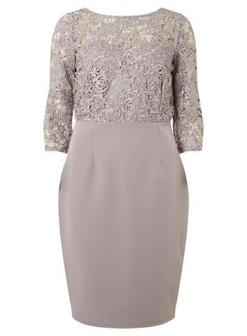 Dorothy Perkins *showcase Mink 'darcy' Lace Bodycon Dress