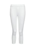 Dorothy Perkins White Eden Crop