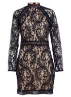 *quiz Navy And Nude Lace Mini Bodycon Dress