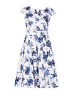 Dorothy Perkins *izabel London Multi Blue Floral Print Dress