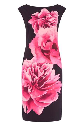 Dorothy Perkins *roman Originals Cerise Floral Scuba Shift Dress