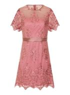 Girls On Film *girls On Film Dusky Pink Lace Shift Dress