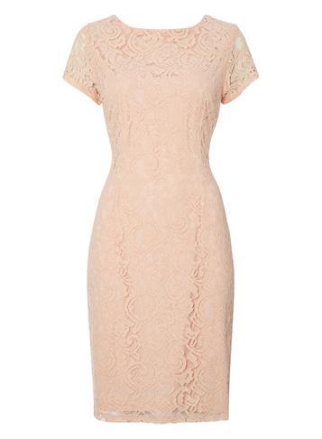 Dorothy Perkins *roman Originals Pink Lace V-back Shift Dress