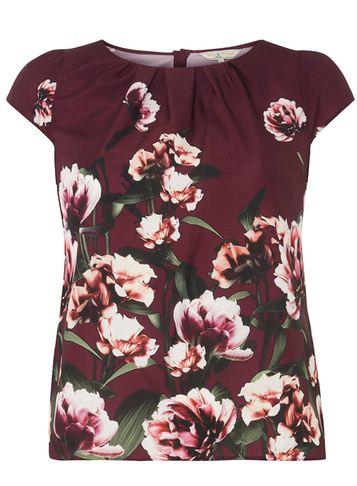 Dorothy Perkins *billie & Blossom Petite Multi Coloured Shell Top