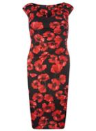 Dorothy Perkins *scarlett B Multi Coloured Rebecca Poppy Print Bodycon Dress