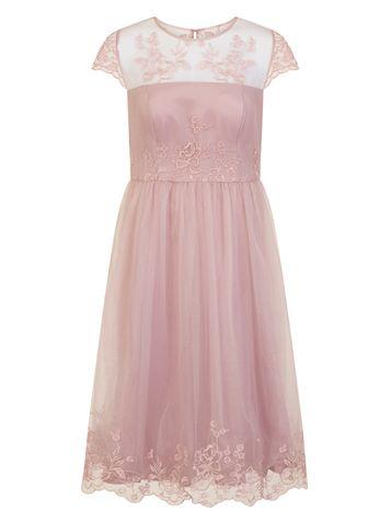 Dorothy Perkins *chi Chi London Curve Mink Embroidered Midi Dress