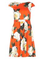 Dorothy Perkins Orange Floral Print Fit & Flare Dress