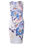 Dorothy Perkins *scarlett B Blue Bloom 'lydia' Dress