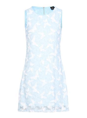 Dorothy Perkins *izabel London Blue Butterfly Print Shift Dress