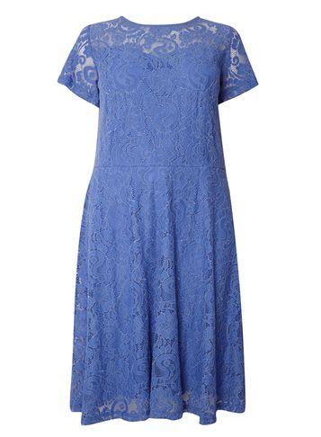 Dorothy Perkins Dp Curve Blue Lace Midi Fit And Flare Dress