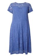 Dorothy Perkins Dp Curve Blue Lace Midi Fit And Flare Dress
