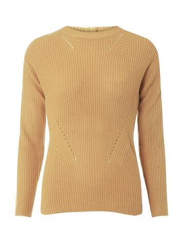 Dorothy Perkins *tall Tan High Neck Zip Jumper