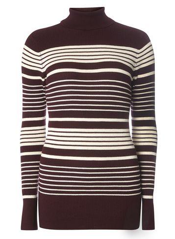 Dorothy Perkins *tall Aubergine Striped Jumper