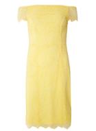 Dorothy Perkins Lemon Bardot Lace Pencil Dress