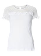 Dorothy Perkins Petite Ivory Spot Mesh T-shirt