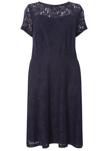 Dorothy Perkins Dp Curve Navy 'adele' Lace Fit And Flare Dress