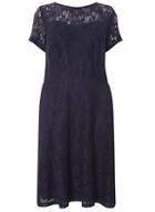 Dorothy Perkins Dp Curve Navy 'adele' Lace Fit And Flare Dress